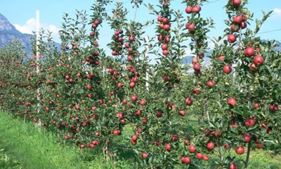 foto111-9