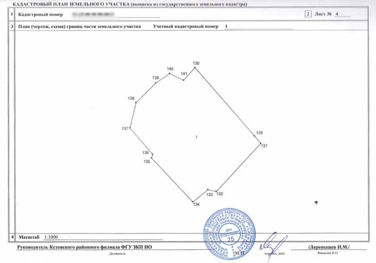 Foto5
