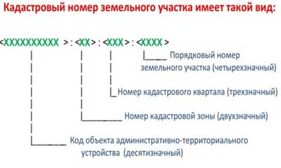 Foto2