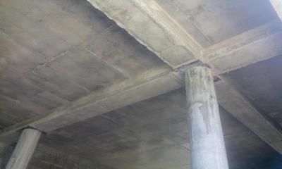 foto48274-1 (8)