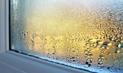 foto61077-1 (4)