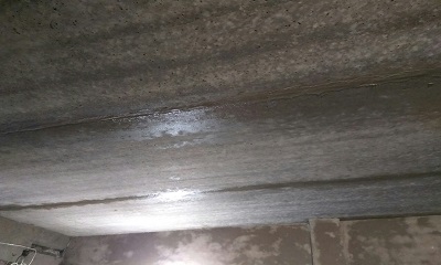 foto97644-2